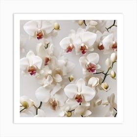 Orchid 9 Art Print