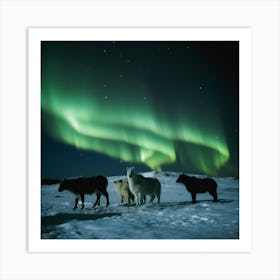 Northern Lights 2 064623 Art Print