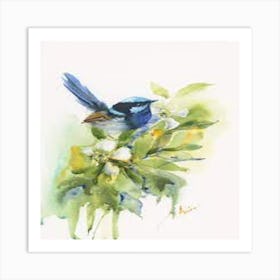 Blue Wren Art Print