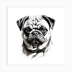 Pug Dog Art Print