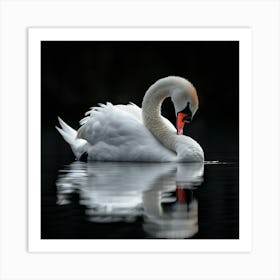 Black Water Swan Art Print