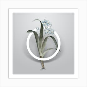 Vintage Iris Fimbriata Minimalist Flower Geometric Circle on Soft Gray n.0547 Art Print