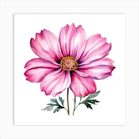 Pink Cosmos Flower 2 Art Print