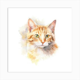 Kashmir Cat Portrait 3 Art Print