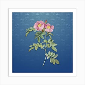 Vintage Shining Rosa Lucida Botanical on Bahama Blue Pattern n.1740 Art Print
