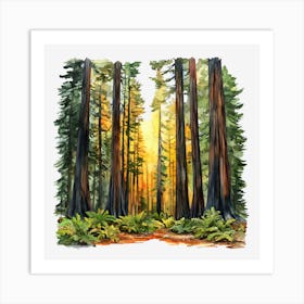 Redwood Forest 4 Poster