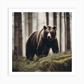 Brown Bear In The Forest Art Print