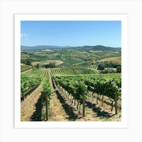 Stockcake Vineyard Panoramic View 1719801312 Art Print