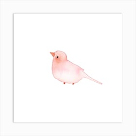 Blushing Bird Rose Square Art Print