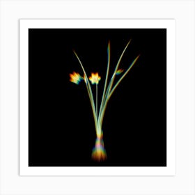 Prism Shift Daffodil Botanical Illustration on Black n.0198 Art Print