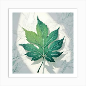 Green Fig Leaf On White Background With Line Art Leaves And Shadows Art Print