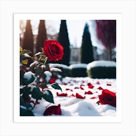 Fallen Rose Petals in the Topiary Garden Art Print