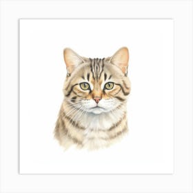 Blackfooted Cat Portrait 1 Art Print