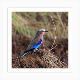 Blue-Winged Warbler Art Print