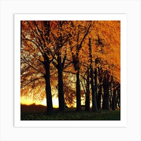 Autumn Trees Art Print