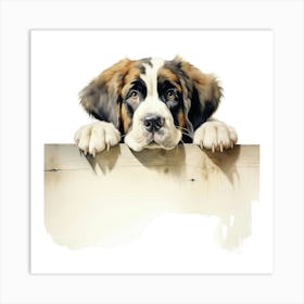 St Bernard Dog 2 Art Print