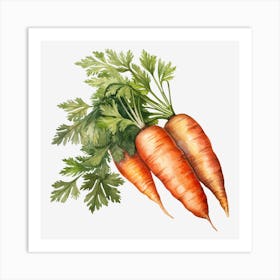 Carrots 3 Art Print