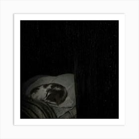 Cat In The Dark Art Print