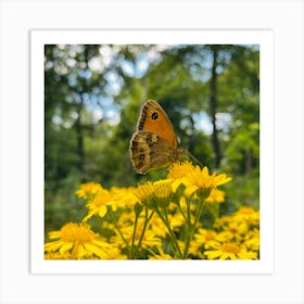 Spring - Summer, Orange Butterfly On Yellow Flowers in Forest. Art Print