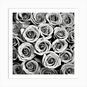 Black And White Roses 26 Art Print