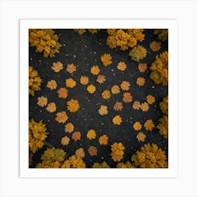 Aerial View Of Autumn Leaves Art Print