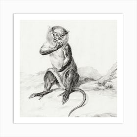 Sitting Monkey, Eating A Fruit, Jean Bernard Art Print