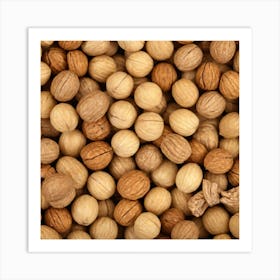 Walnuts 2 Art Print