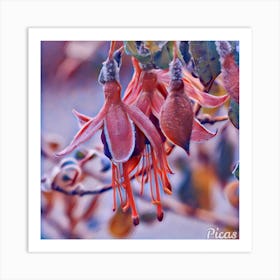 Flower art Art Print