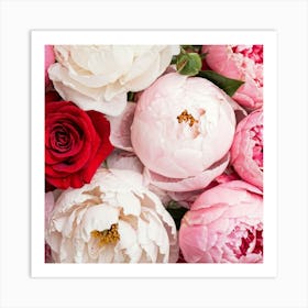 Peonies 2 Art Print