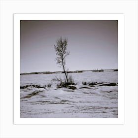 Arbre Prairie Art Print