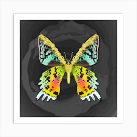 Mechanical Butterfly Urania Ryphaeus On A Dark Gray Background Art Print