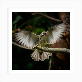 Bird In Flight Landing On A Limb Of Tree Art Print