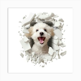 Dog Through A Hole 5 Art Print