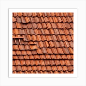 Tile Roof — Stock Photo Art Print