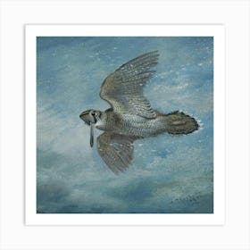 Hawk In Flight Art Print