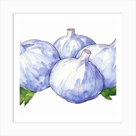 Watercolor Illustration Of Garlic Art Print