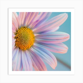 Detail Pastel Colour Chamomile Flower Art Print