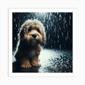 Dog In The Rain 6 Art Print