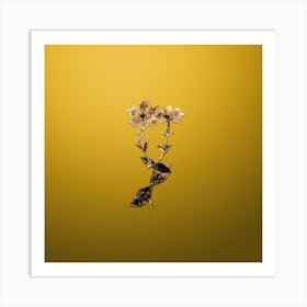 Gold Botanical Bunge's Lychnis Flower on Mango Yellow n.0701 Art Print