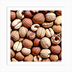 Walnuts 1 Art Print