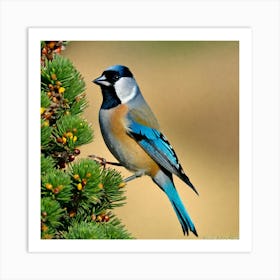 Blue Tit 68 Art Print