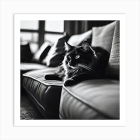 Black And White Cat 28 Art Print