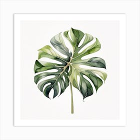 Large Monstera leaf 8 Art Print