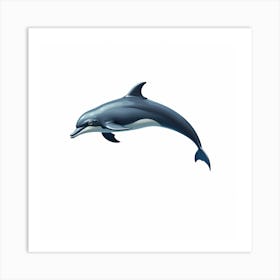 Dolphin In The Water Art Print