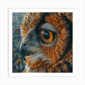 Owl Portrait Art Print