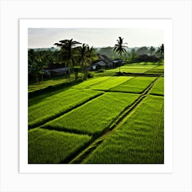 Grow Plant Green Background Field Aerial Landscape Pattern Agriculture Grass Harvesting C (7) Art Print