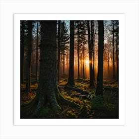 Sunset In The Forest Art Print 0 (1) Art Print