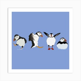 Exercising Puffins Art Print