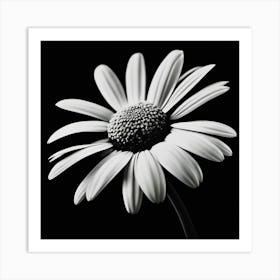 Daisy In Black And White Imagery, Lighting Art Print