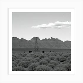 Cattle Grazing In The Desert Art Print